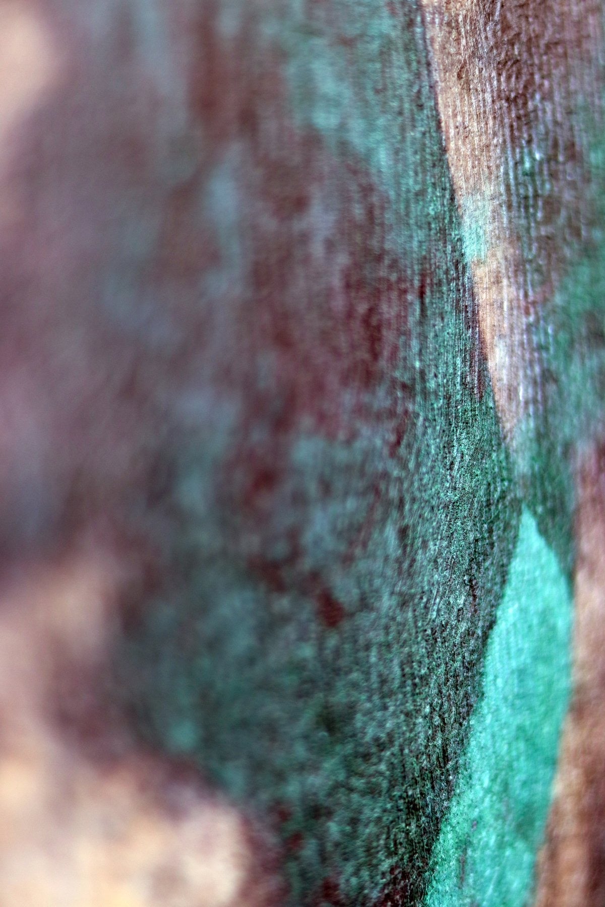 El hombre de las sombras - original firmado